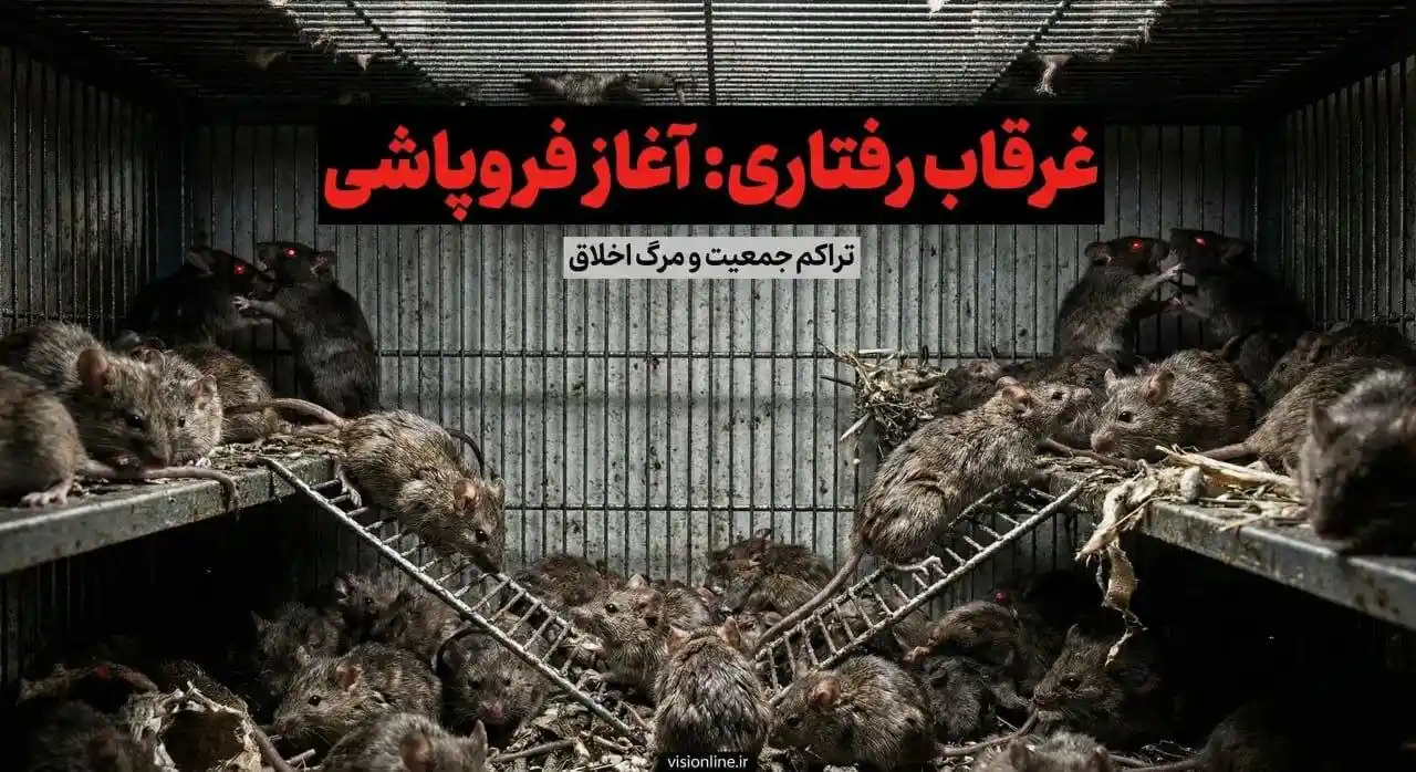 هرج و مرج و غرقشدگی رفتاری در آزمایش جهان ۲۵ کالهون