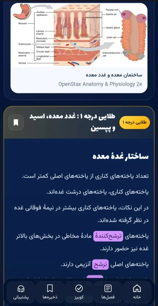 نکات مرورنامه و ساختار معده در زیست شناسی بررسی نکات طلایی زیست شناسی کنکور غدد معده در مرورنامه زیست